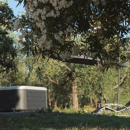 Σπίτι διακοπών Art Il Vecchio Merlo