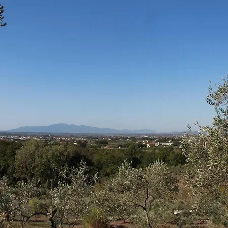 Art Il Vecchio Merlo Holiday home *