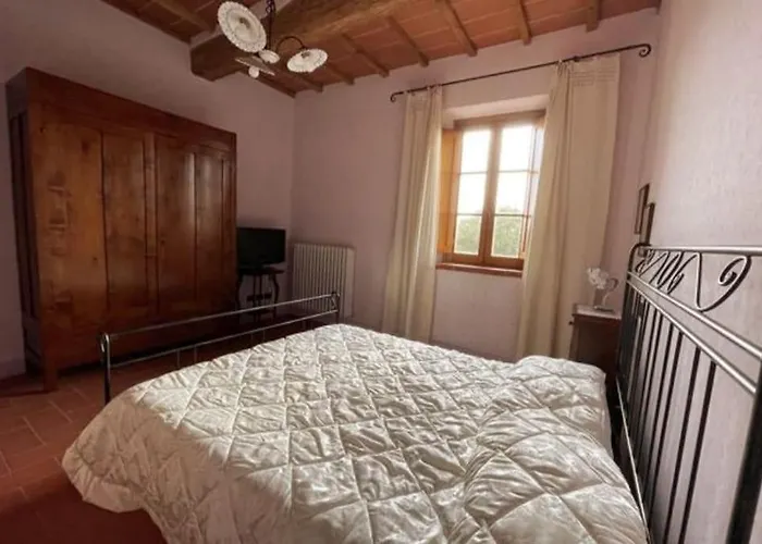 Art Il Vecchio Merlo * Larciano