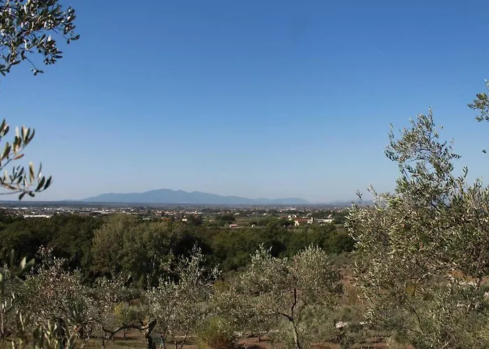 Art Il Vecchio Merlo Dom wakacyjny *